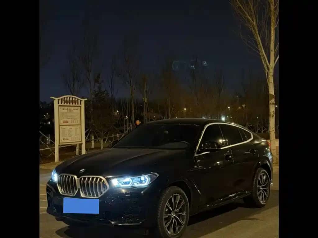 BMW BMW X6