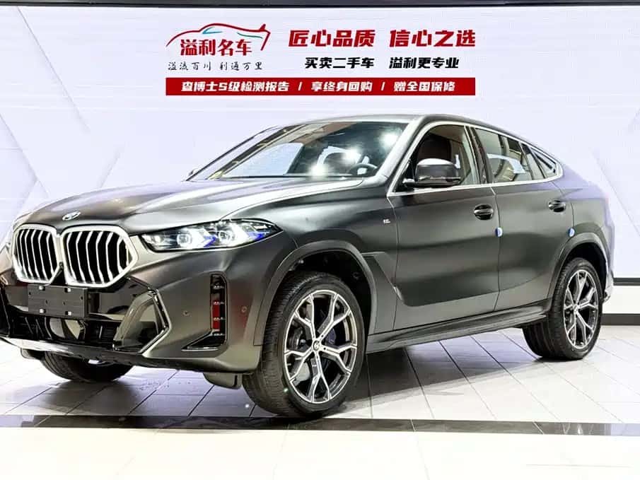 BMW BMW X6