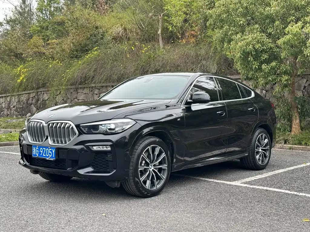 BMW BMW X6