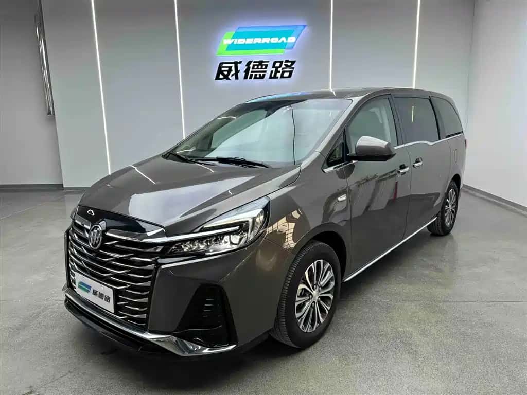 Buick Buick GL8