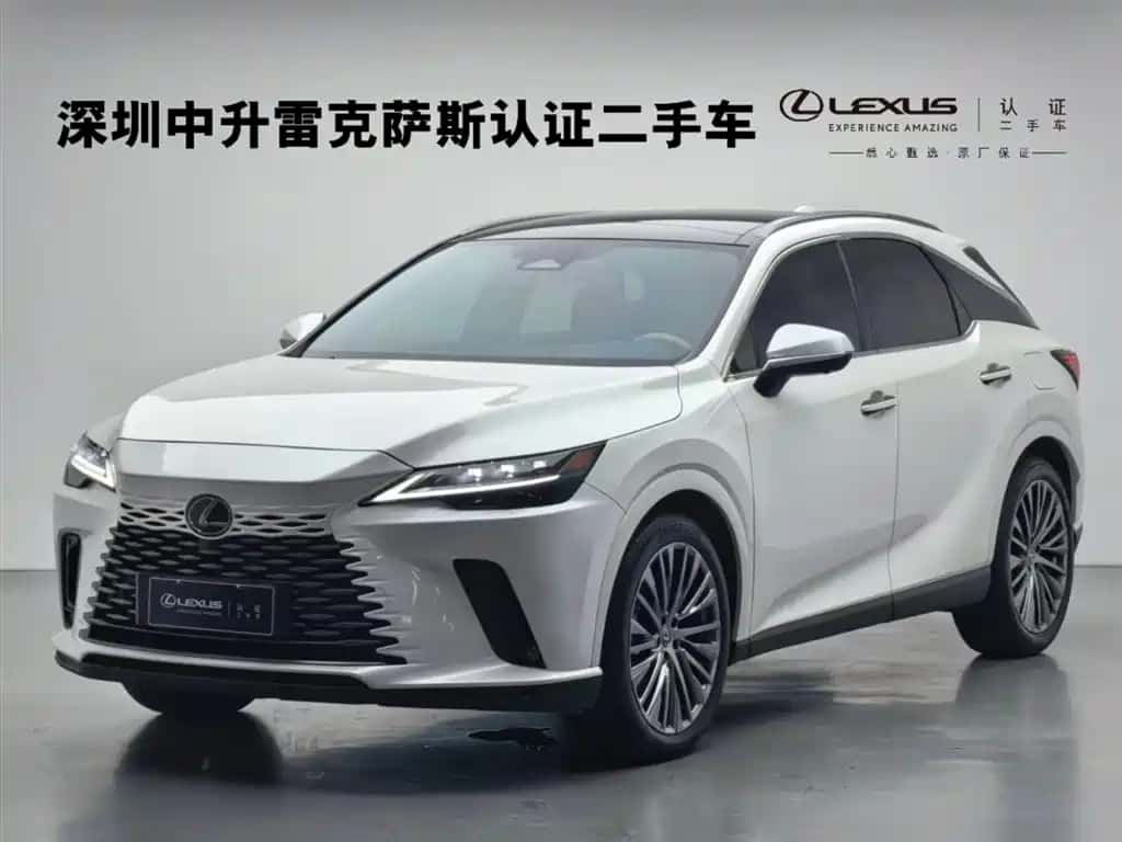 Lexus Lexus RX New Energy
