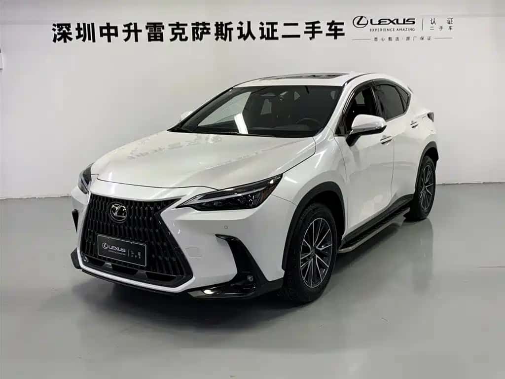 Lexus Lexus NX New Energy