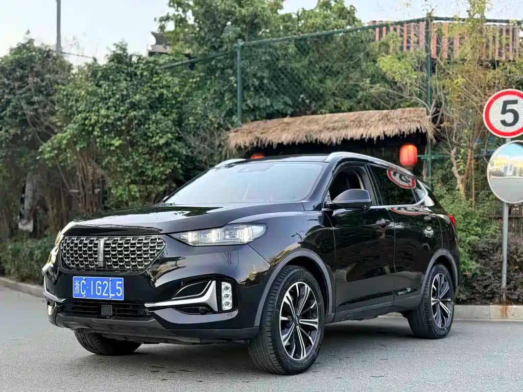 Wey WEY VV6