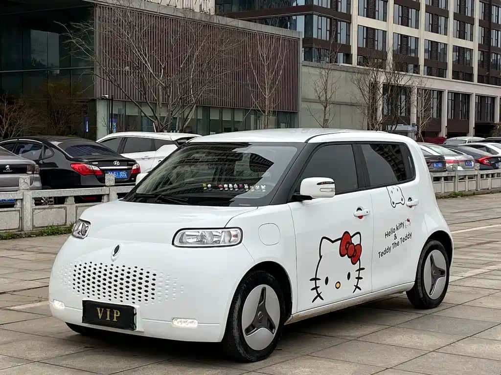 Ora Ora White Cat