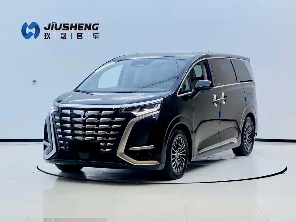 Denza Denza D9