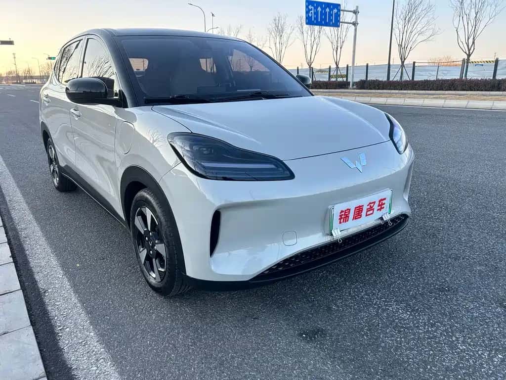 Wuling Motors Wuling Binguo PLUS