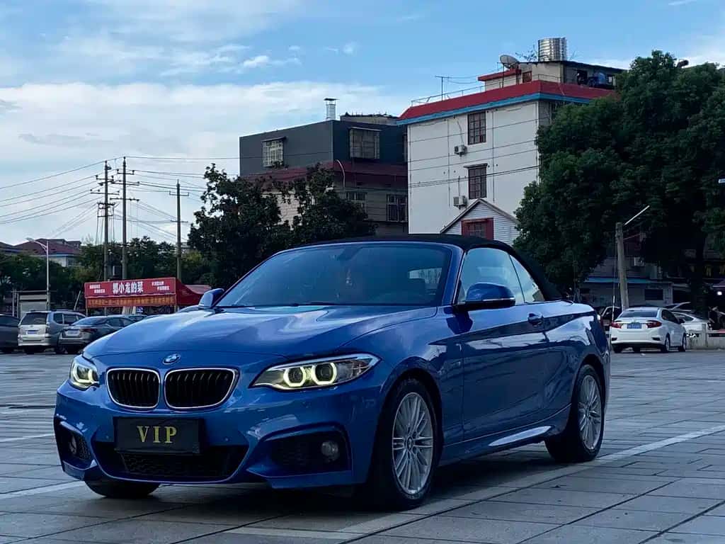 BMW BMW 2 Series (Import)