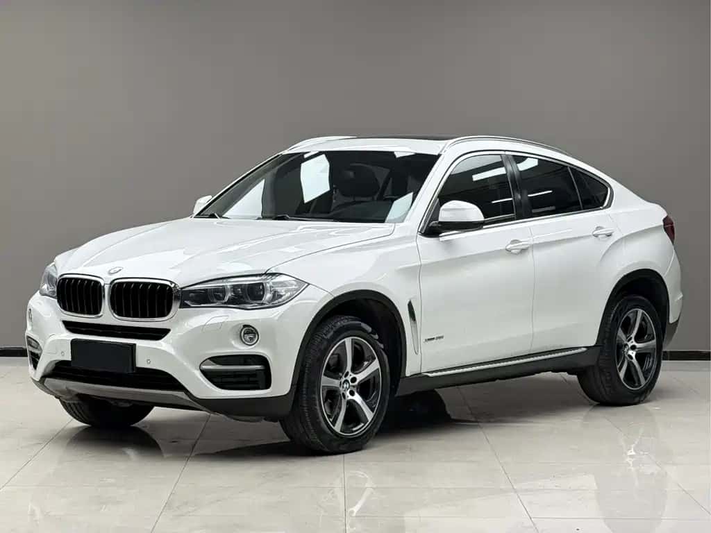 BMW BMW X6
