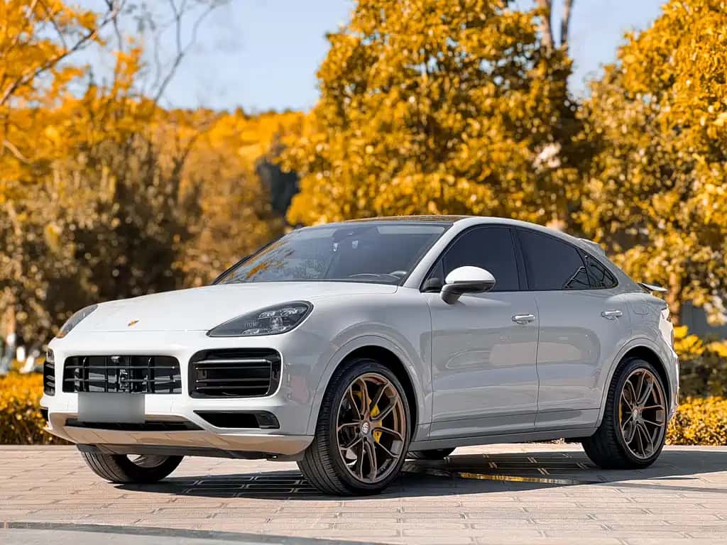 Porsche Cayenne New Energy