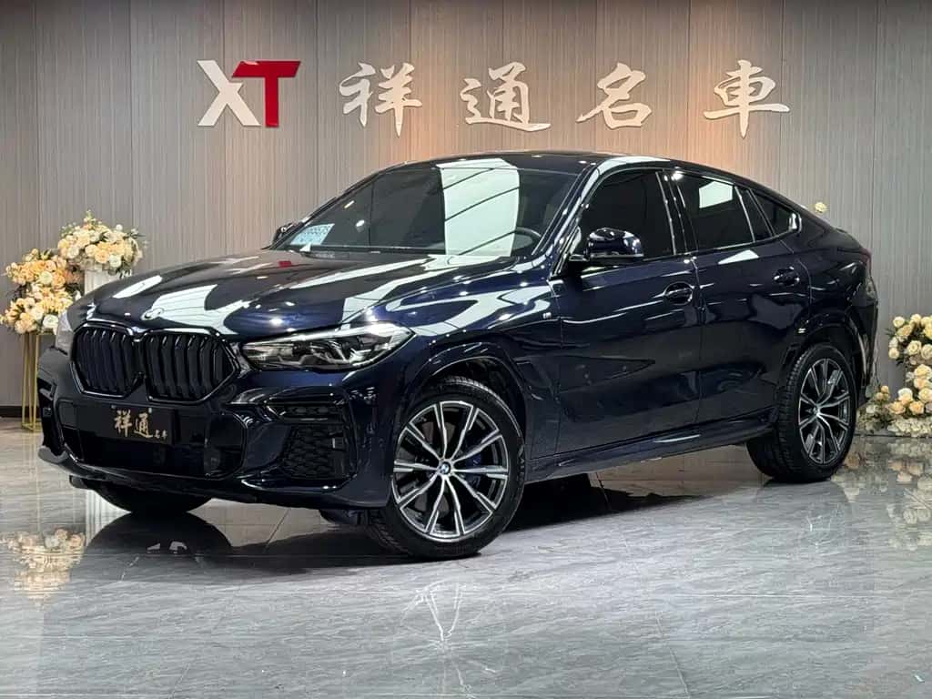 BMW BMW X6
