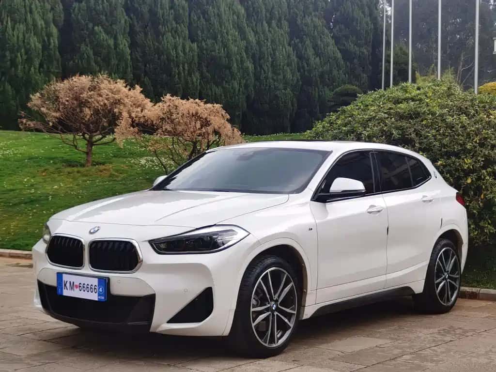 BMW BMW X2