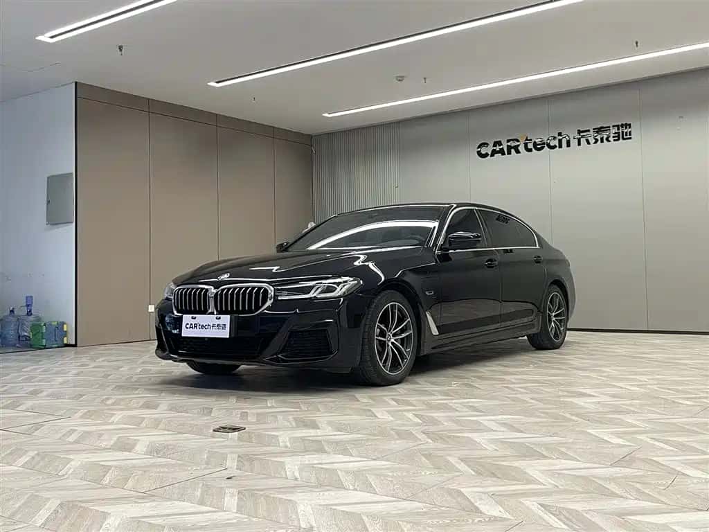 BMW BMW 5 Series New Energy