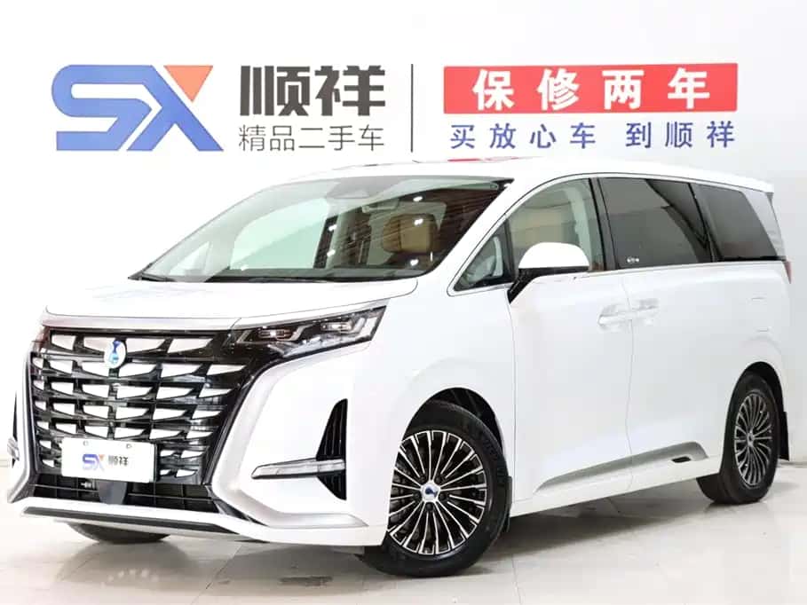 Denza Denza D9