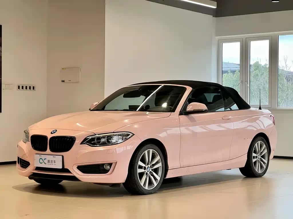 BMW BMW 2 Series (Import)