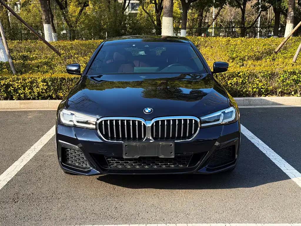 BMW BMW 5 Series