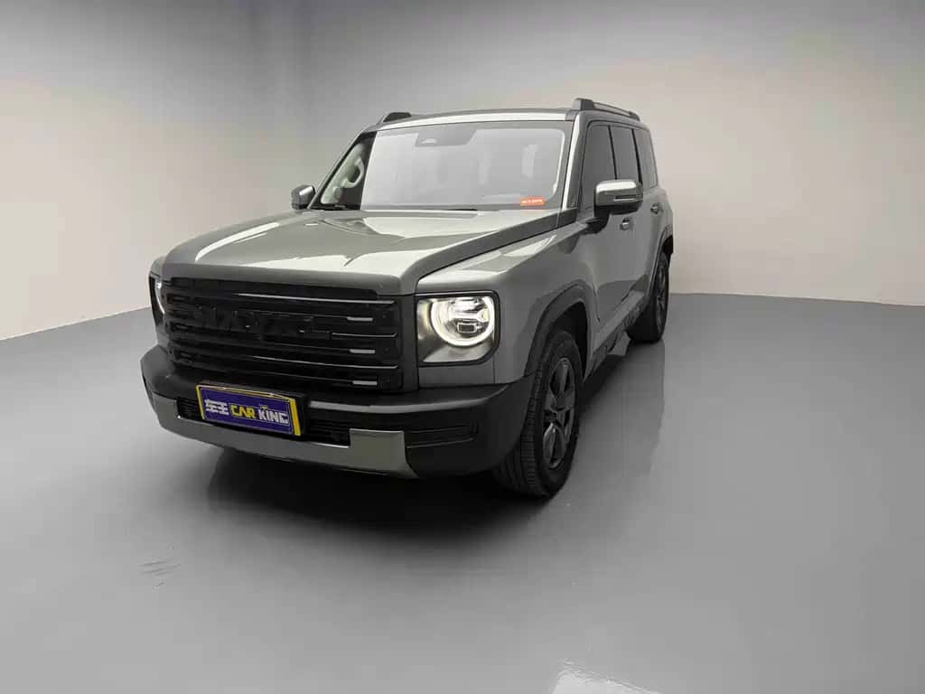 Haval Haval Menglong New Energy