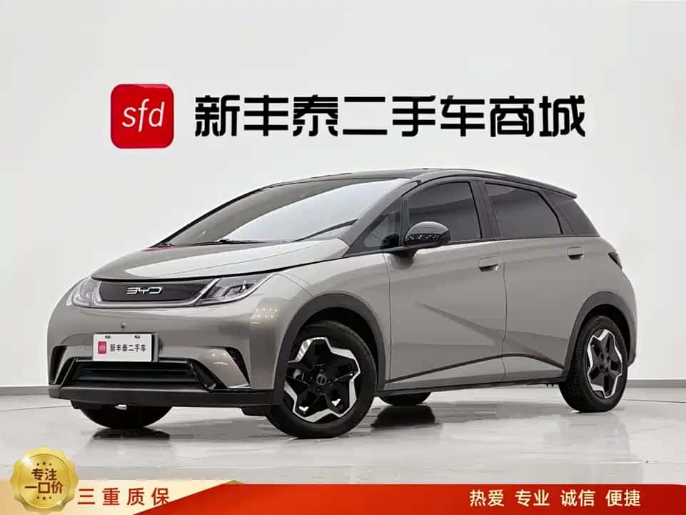 BYD Dolphin