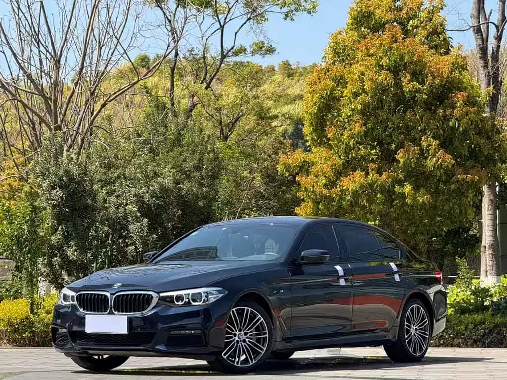 BMW BMW 5 Series