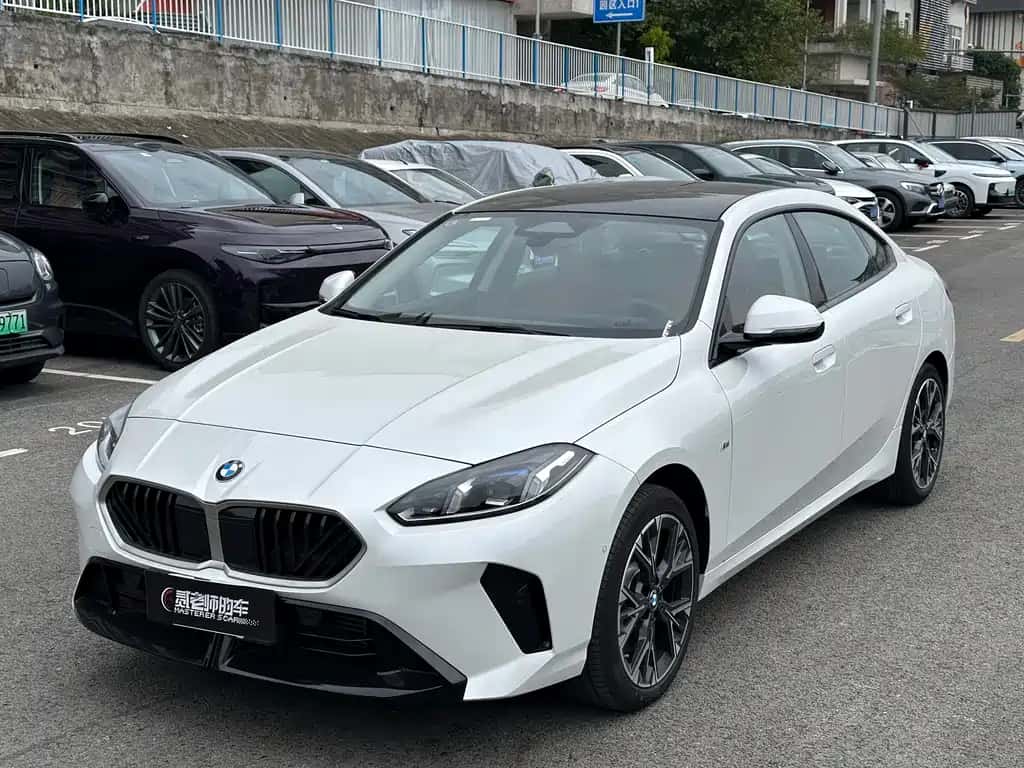BMW BMW 2 Series