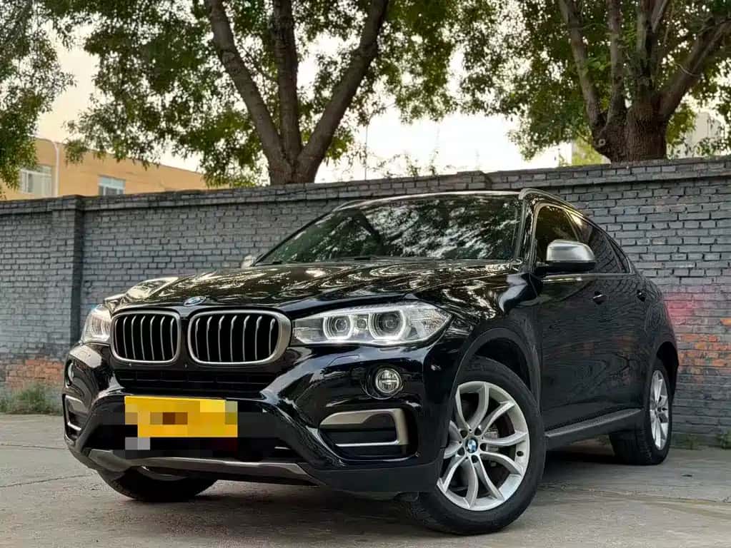 BMW BMW X6