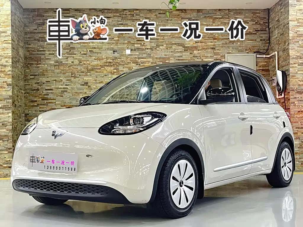 Wuling Motors Wuling Binguo