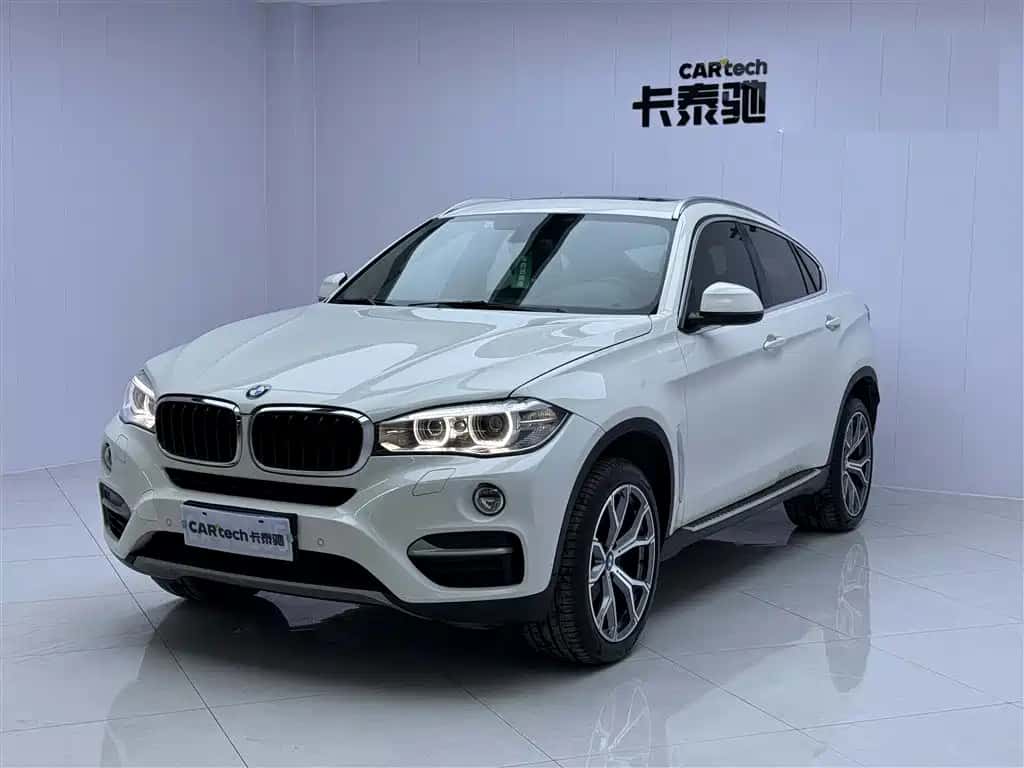 BMW BMW X6
