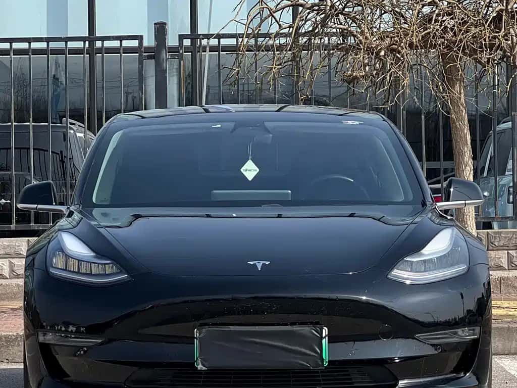 Tesla Model 3 (Imported)