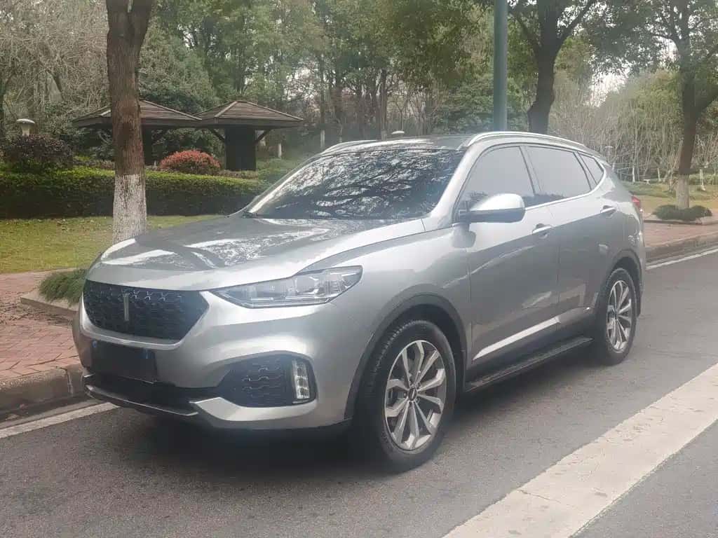 Wey WEY VV6
