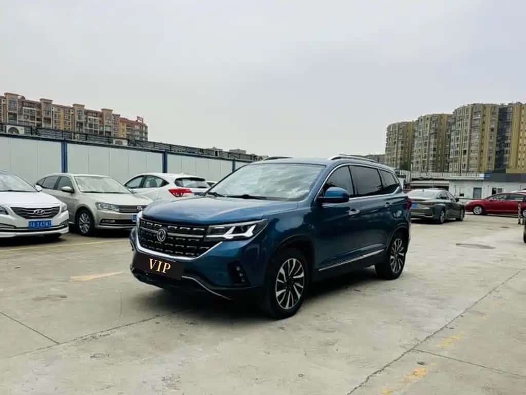 Dongfeng Fengxing Fengxing T5