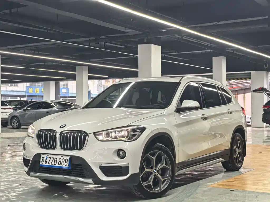 BMW BMW X1