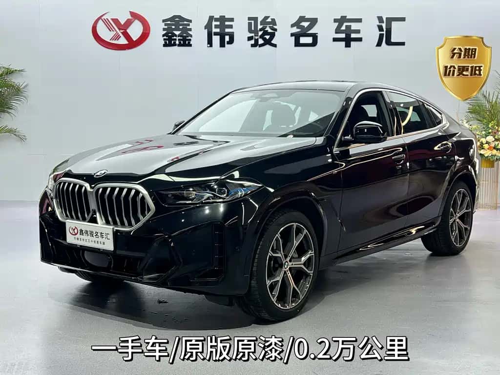 BMW BMW X6