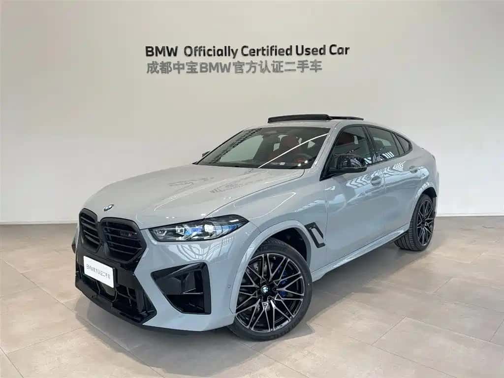 BMW BMW X6 M