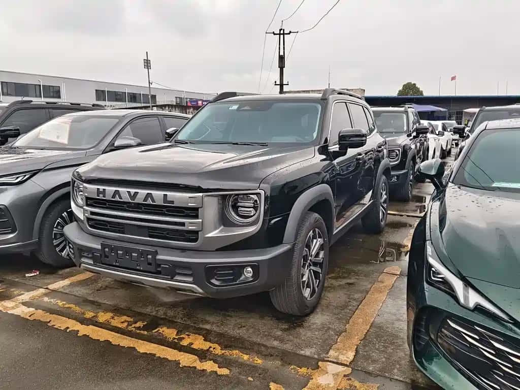 Haval Haval Dog