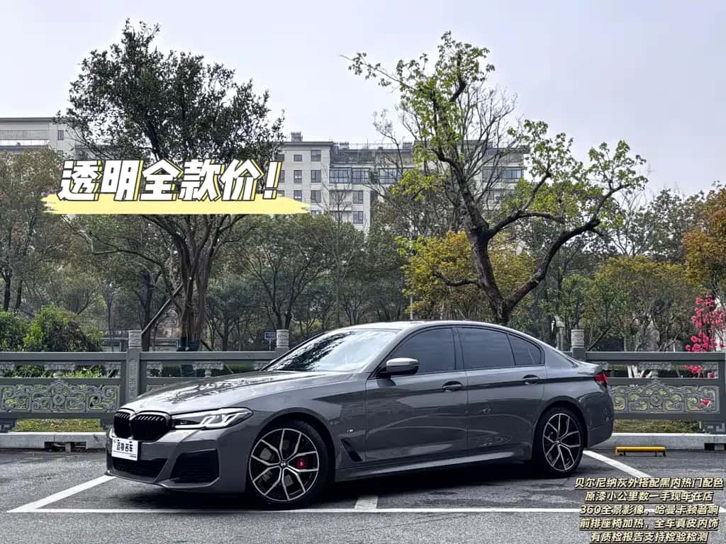 BMW BMW 5 Series (Import)