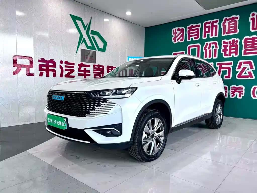 Haval Haval H6 New Energy