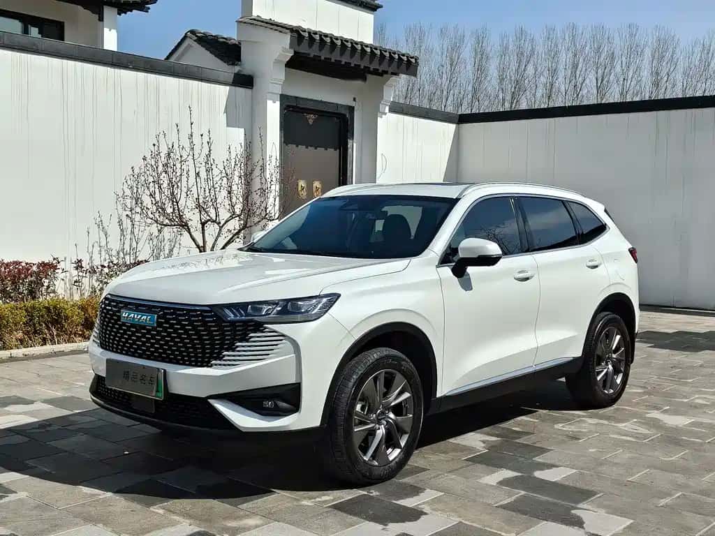 Haval Haval H6 New Energy