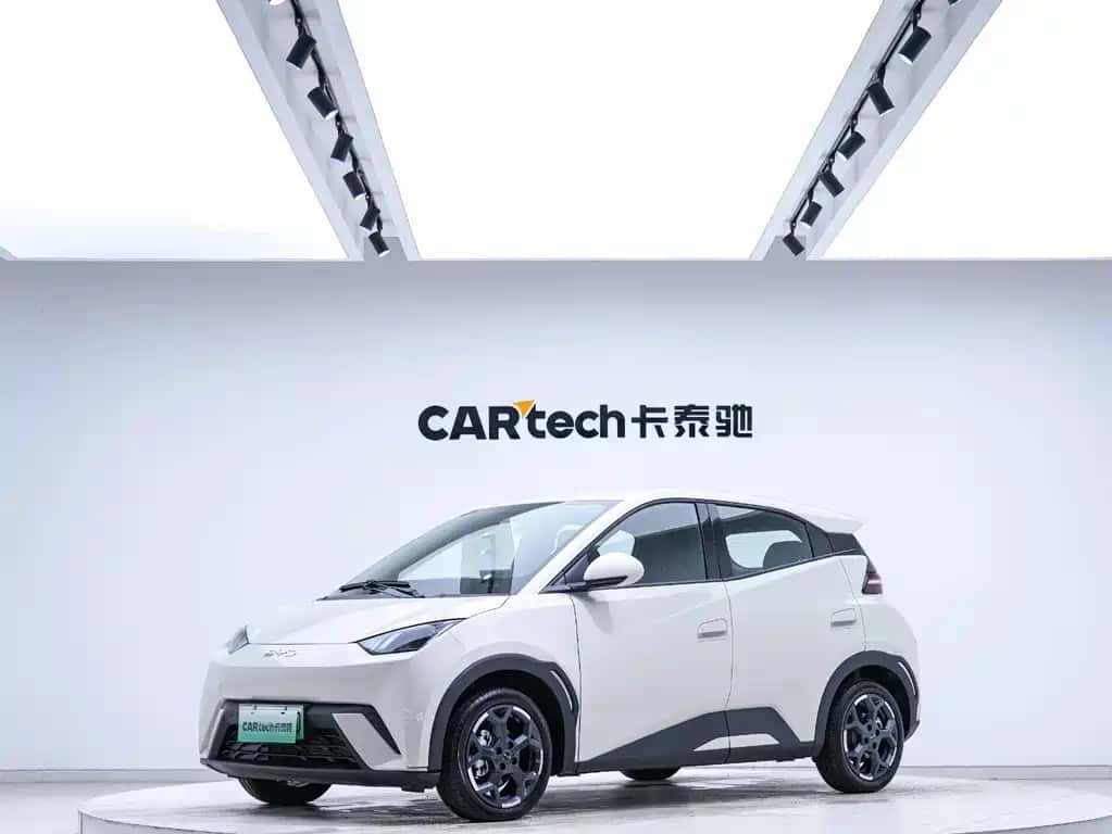 BYD Seagull