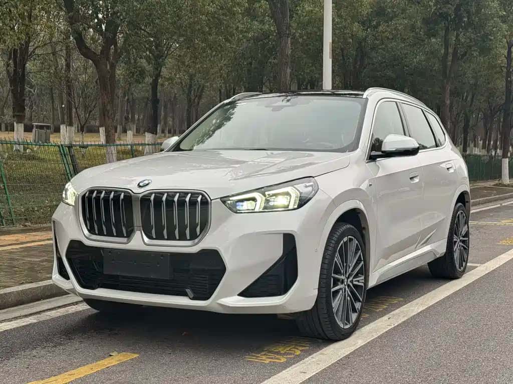 BMW BMW X1