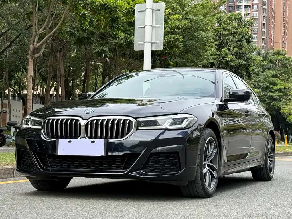 BMW BMW 5 Series New Energy