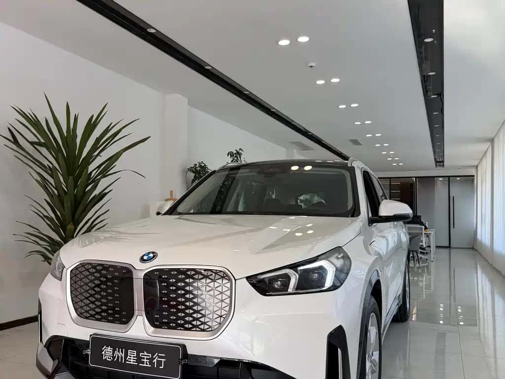 BMW BMW iX1
