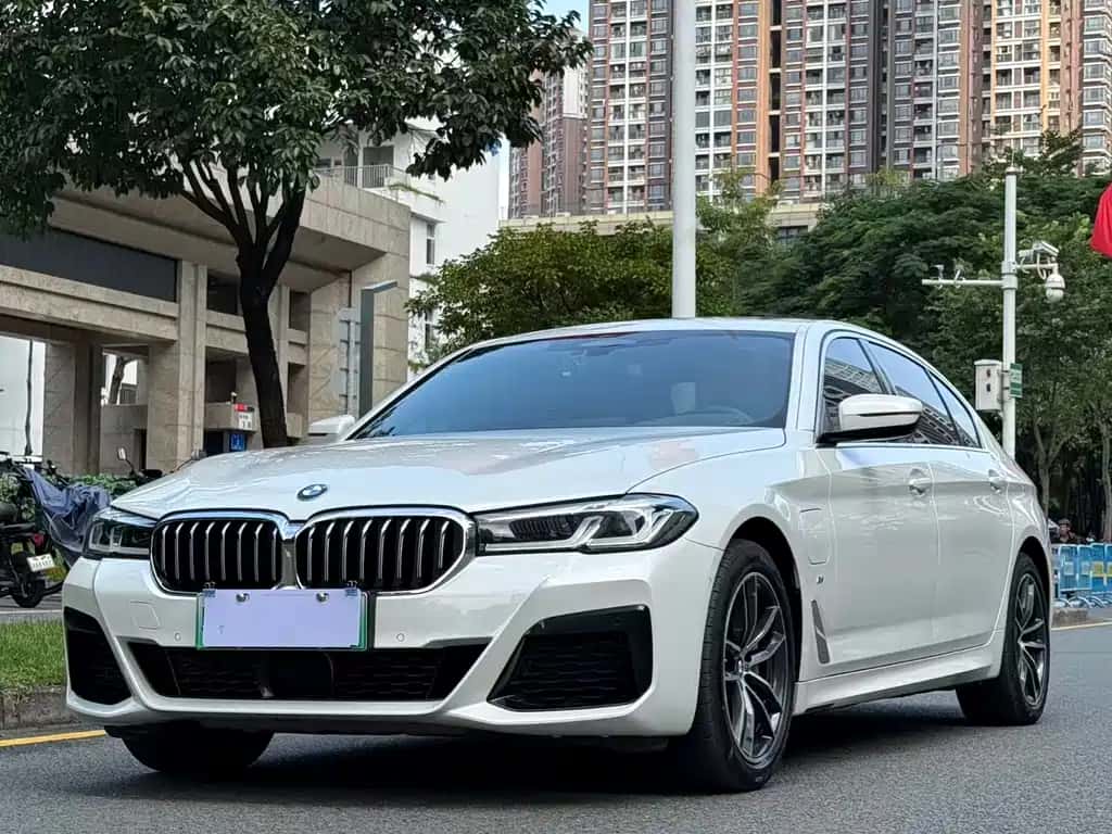BMW BMW 5 Series New Energy