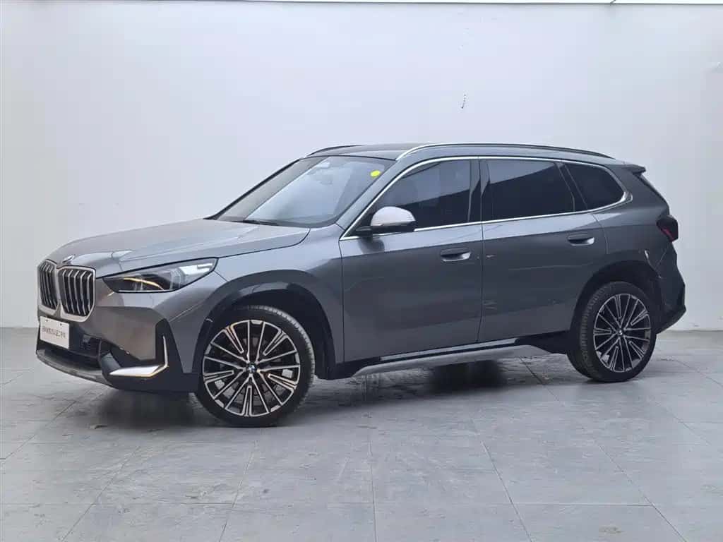 BMW BMW X1