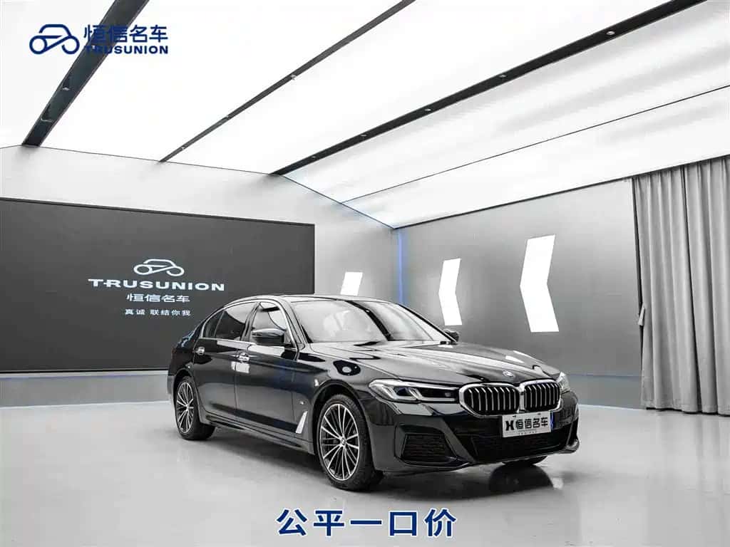 BMW BMW 5 Series
