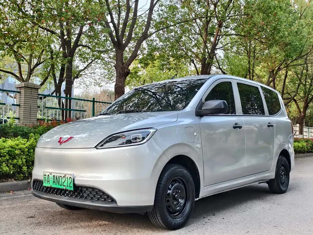 Wuling Motors Wuling Hongguang New Energy