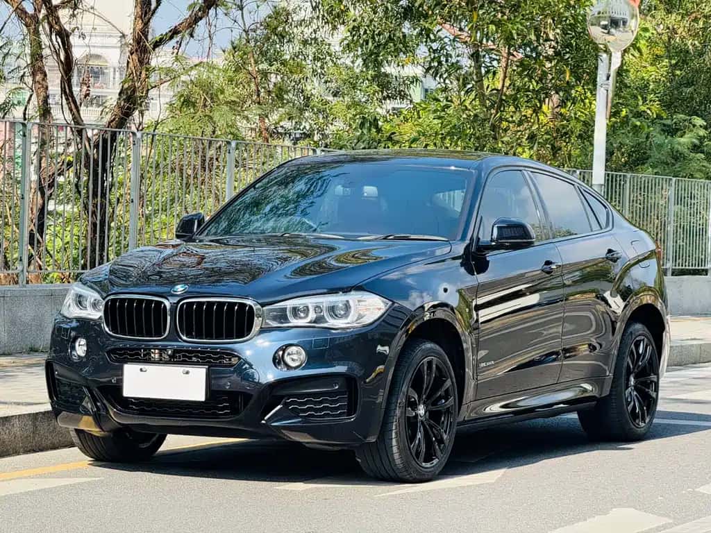 BMW BMW X6