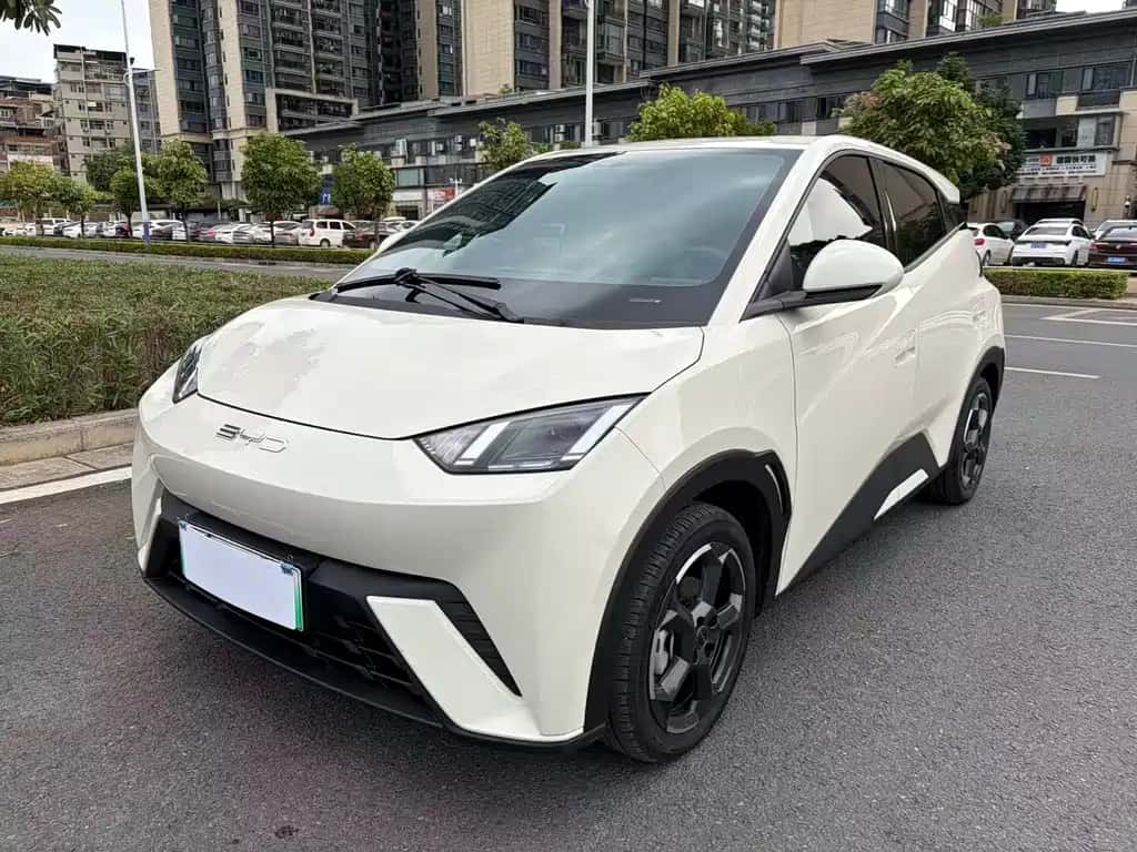 BYD Seagull