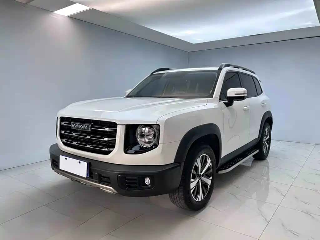 Haval Haval Dog