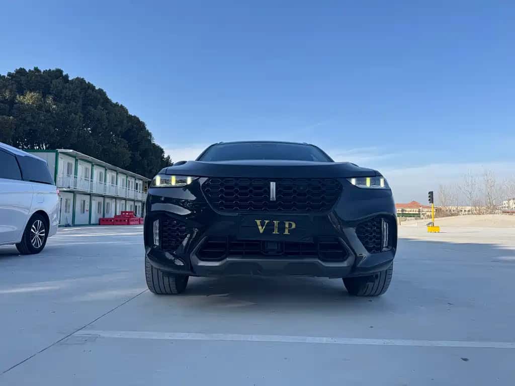 Wey WEY VV7