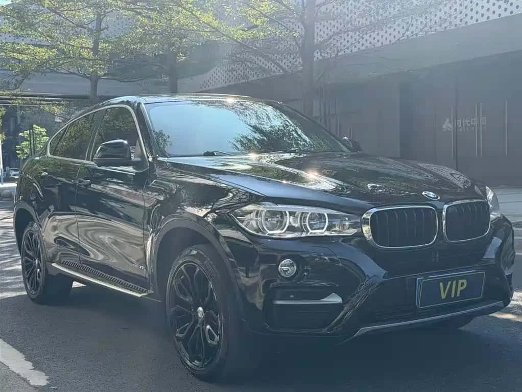 BMW BMW X6