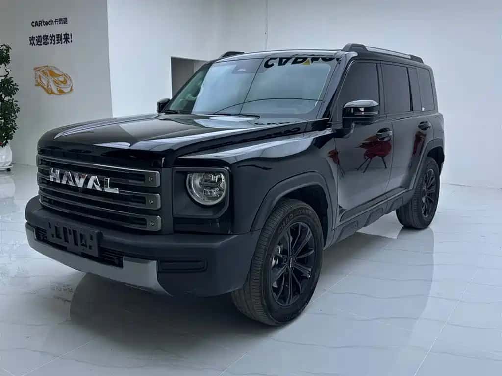 Haval Haval Menglong New Energy